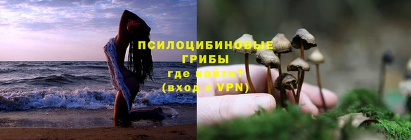 стаф Нягань