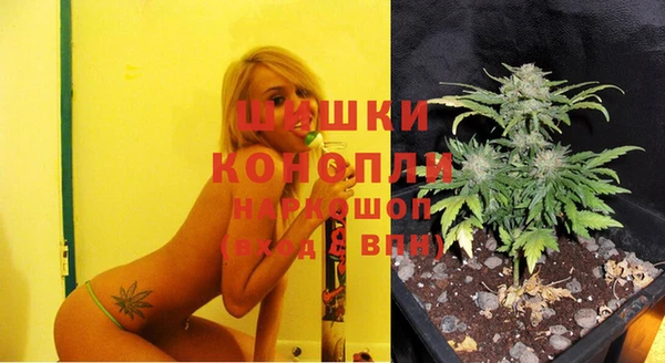 шишки Абдулино