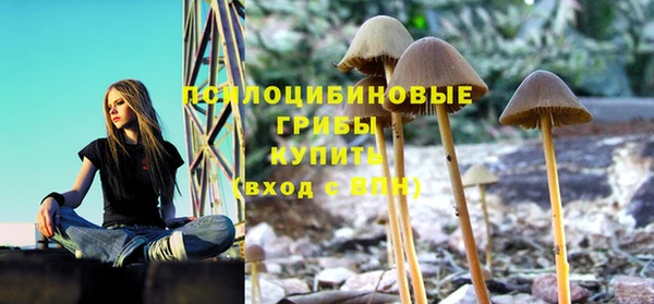 шишки Абдулино