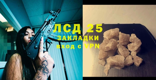 прущие грибы Сафоново